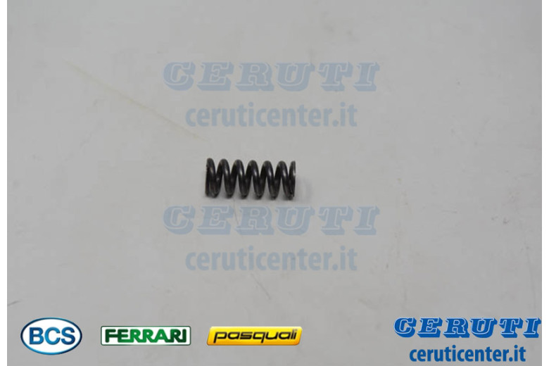 Spring Dm.6,2X15 - BCS genuine - 58047579