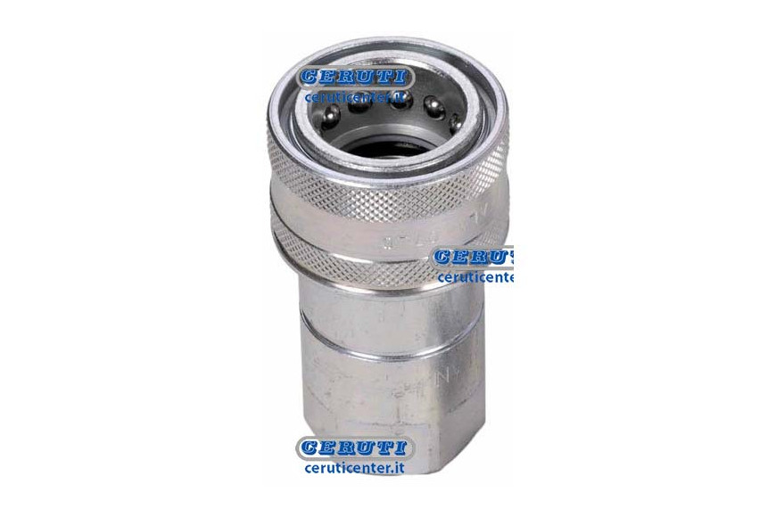 Quick Female Coupling Valve Type Series Nv Coupling 3/8" Npt