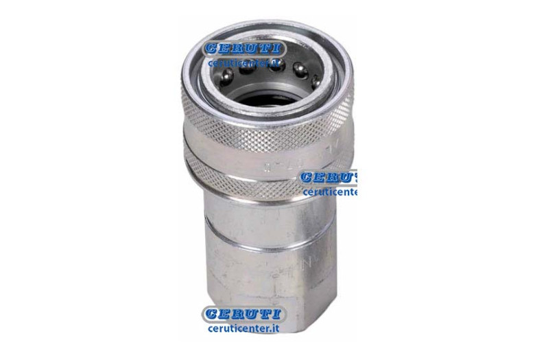 Quick Female Coupling Valve Type Series Nv Coupling 1"1/4 Gas