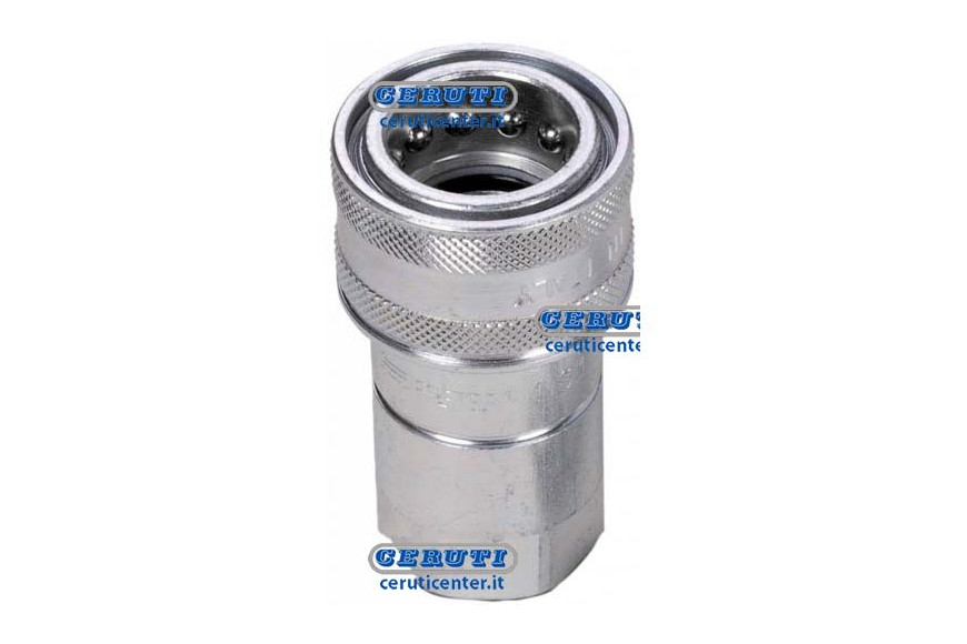 Quick Female Coupling Ball Type Series Ns Coupling 3/8" Npt
