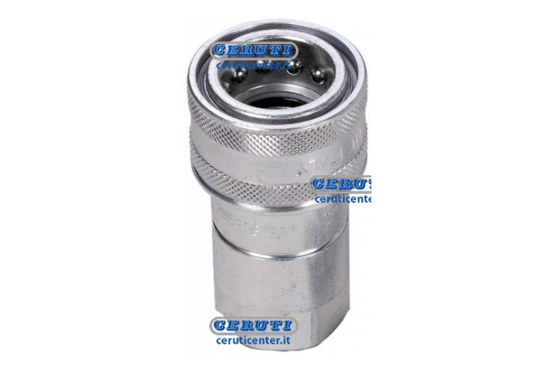 Quick Female Coupling Ball Type Series Ns Coupling 3/8" Npt