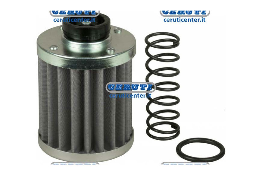 Cartuccia 60M -110Lt/1 Filtro 81237 - Cartuccia Per Filtro Semi Immerso Filtrazione 60 µ L 95 Mm