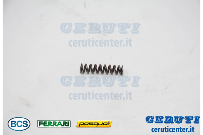 Feder - BCS Original - 58056391
