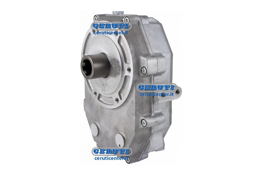 Pumps Overdrive Group 3,5 For Group 3-3,5 Coupling Female 1" 3/8 Ratio 1:3