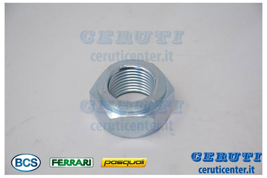 Conical Nut M24X2 T - BCS genuine -  58058855Z