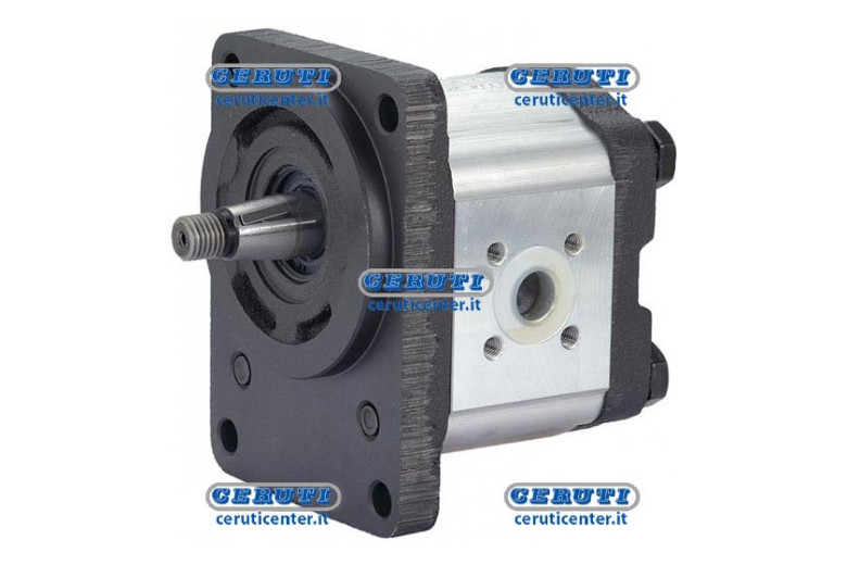 Zahnradpumpen - 2 Gruppe - Mit Flansch Ø 80 - Kegelwelle 15 - 16 Cm3, Rechts Konizität 1:5 Durchsatz 19 Cc Rotation Rechts