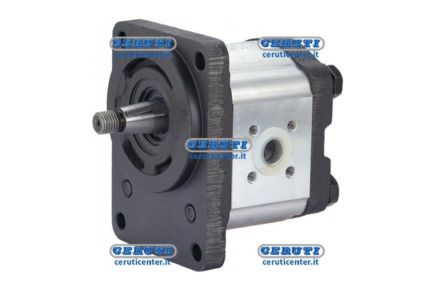 Gear Pumps - Group 2 - With Flang Ø 80 - Tapred Shaft 15 - 19 Cm3, Left Taper 1:5 Swept Volume 19 Cc Rotation Left