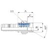 Raccordo Maschio Cilindrico Svasato 60° Tubo 1"1/4 Inch Filetto - T 1"1/4 Gas