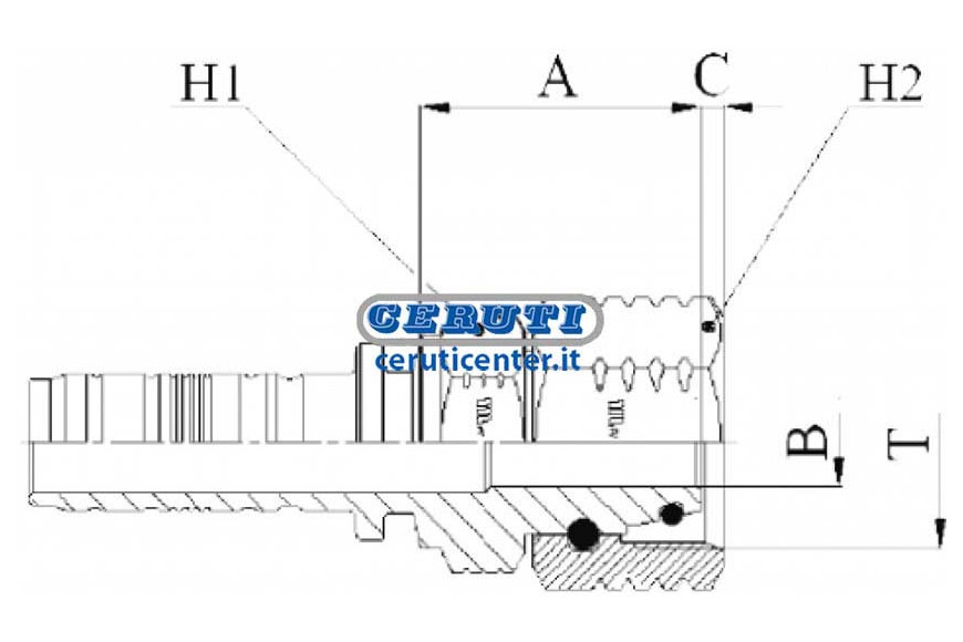 Female Metric Din Heavy Series (Nut Through)