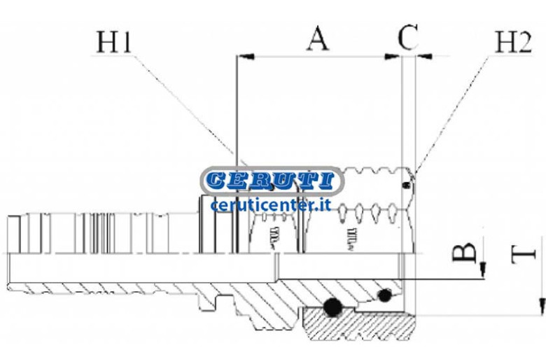 Female Metric Din Heavy Series (Nut Through)
