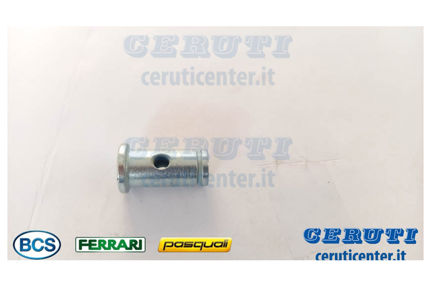 Conexion - BCS Original - 58165007