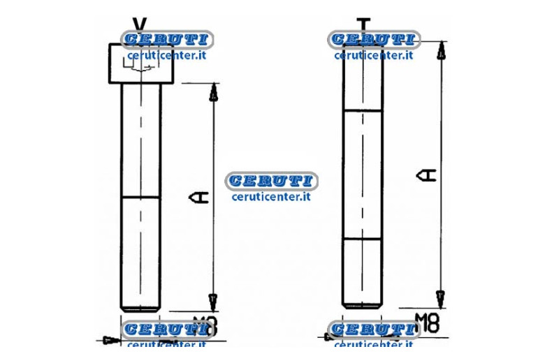 Screws And Through Bolts - 80 V