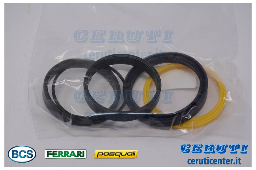 Gasket Set - BCS genuine - 58171737 - replaces - P224112090000, P241104090000