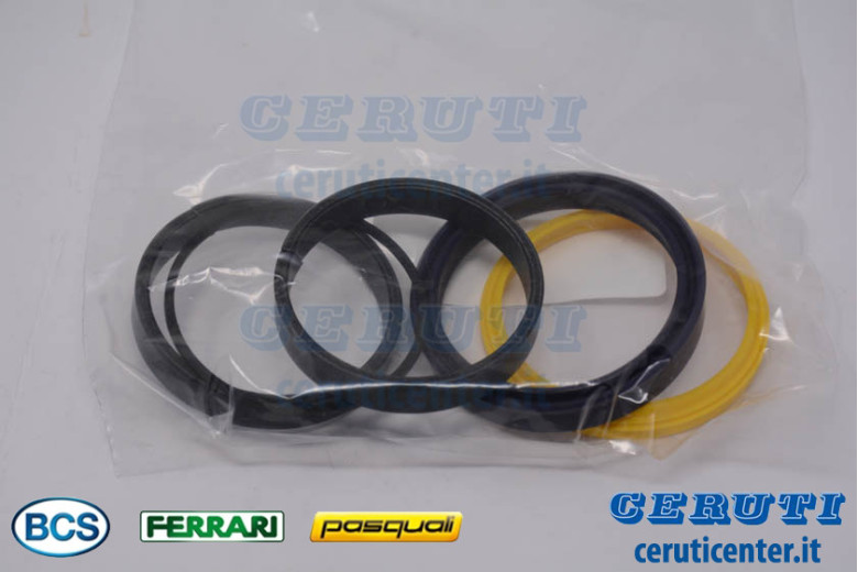 Serie Guarnizioni - Originale BCS - 58171737 - sostituisce - P224112090000, P241104090000