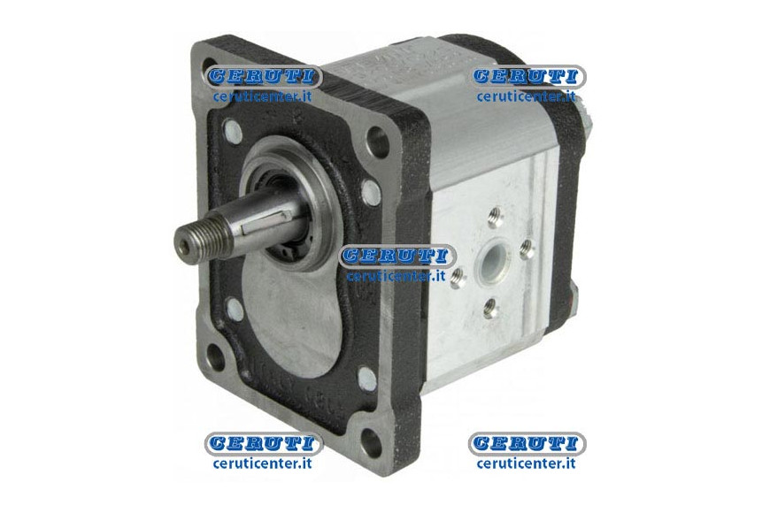 Pumps Gr. 2 (Standard Type) - 8,5 Cm3, Left Swept Volume 17 Cc Rotation Left