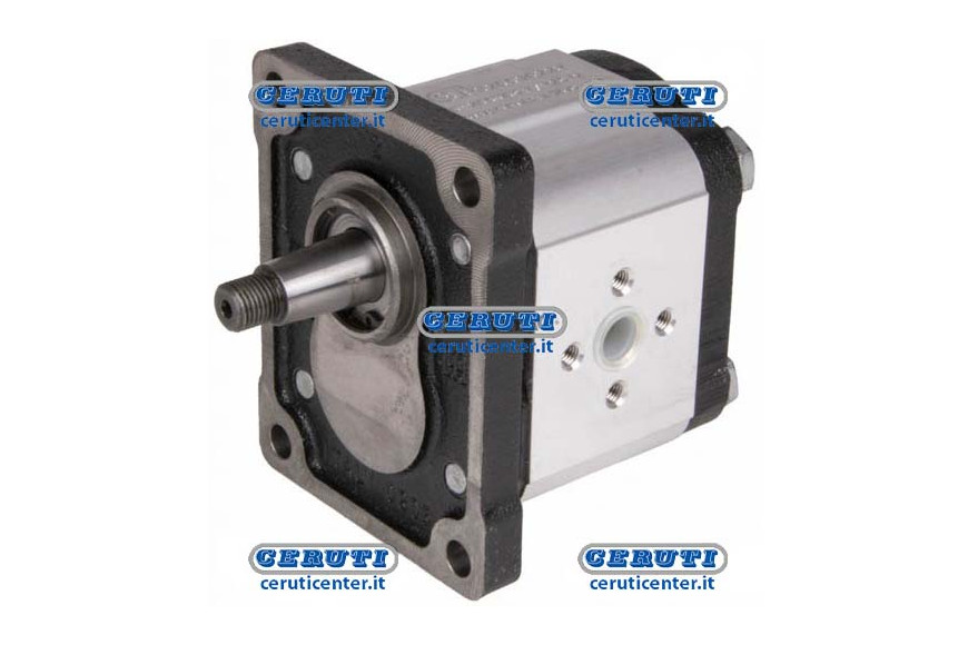 Motor Gr. 2 (Standard Type) - 8,5 Cm3 Bidirectional