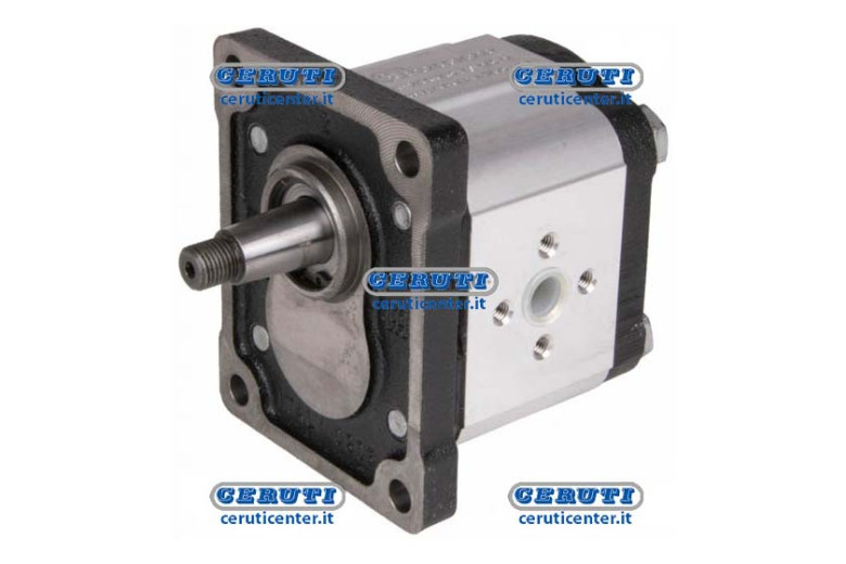 Motor Gr. 2 (Standard Type) - 8,5 Cm3 Bidirectional