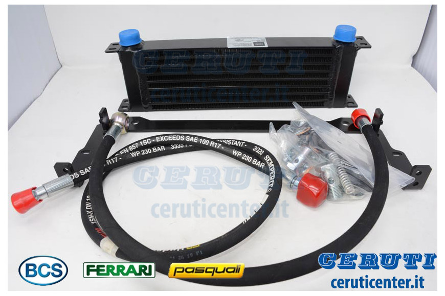 Kit - Originale BCS - 59901599 - sostituisce - 58177182, 59901598, 59901600