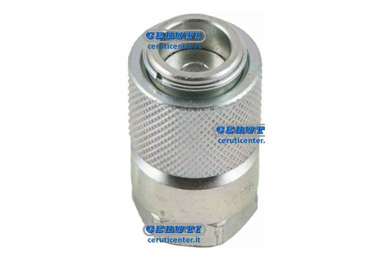Schnellkupplung Für Testprogramm Serie Df Anschluss 1/8" Npt Gewinde Weiblich