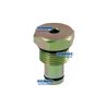 Vei Cap