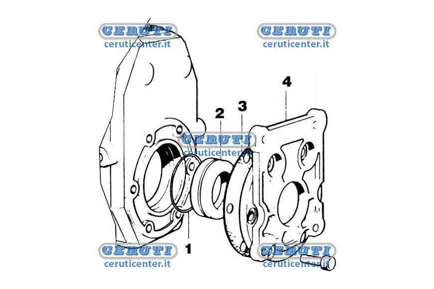 Flange Gasket
