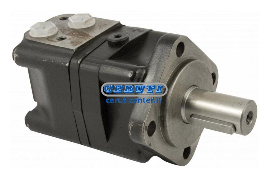 Hydraulic Motor Coupling Side Swept Volume 100 Cc