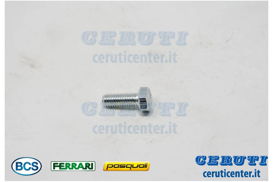 Vis Te M6X16 Uni 5739 8G - BCS Pièce d'origine -  31112090 - remplace - P000000003091, P000000003094