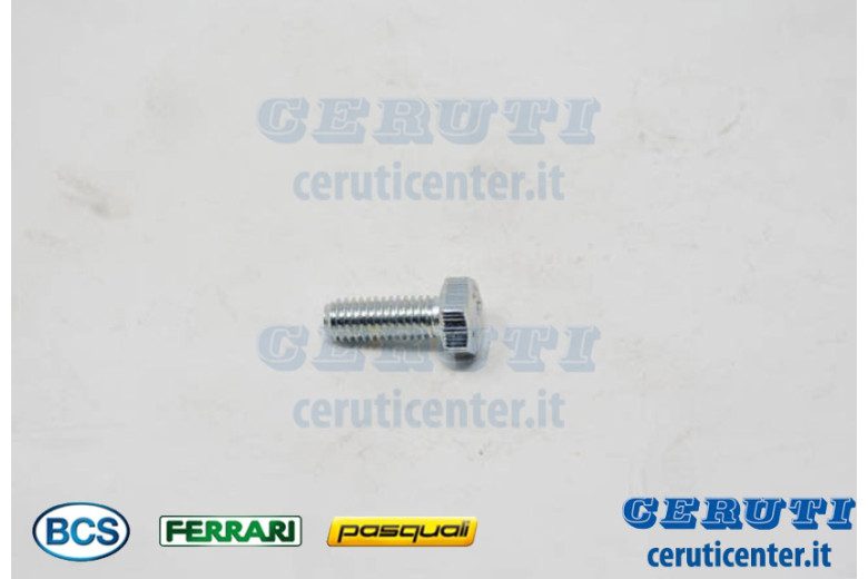 Vis Te M6X16 Uni 5739 8G - BCS Pièce d'origine -  31112090 - remplace - P000000003091, P000000003094