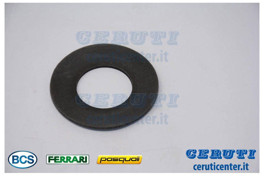 Muelle Tz 50X25,4X2 - BCS Original - 31421500  - reemplaza - F0831835000
