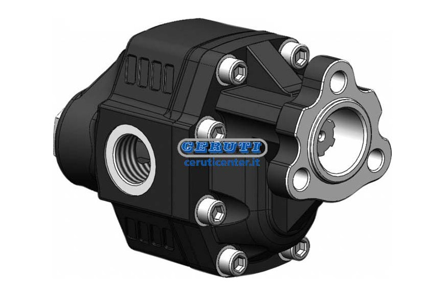 Reversible Gear Pumps Autocompensated With Uni 3-Hole Mounting Profile 25X21 Z.6 Flow Rate 60,06 Cc/Rev