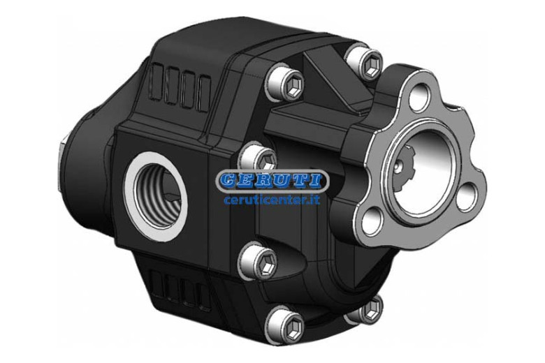 Bombas De Engranajes Reversibles Fijación 3 Orificios-Uni Perfil 25X21 Z.6 Caudal 60,06 Cc/Rev