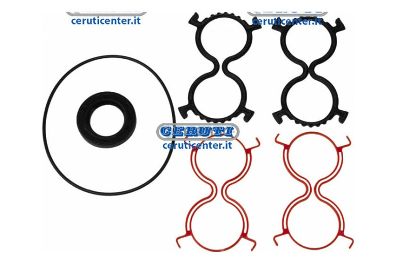 Gasket Kit