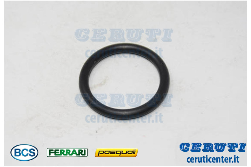 O-Ring 109 (9,13X2,62) - BCS genuine -  38110913 - replaces - F0803171000, P000000007844