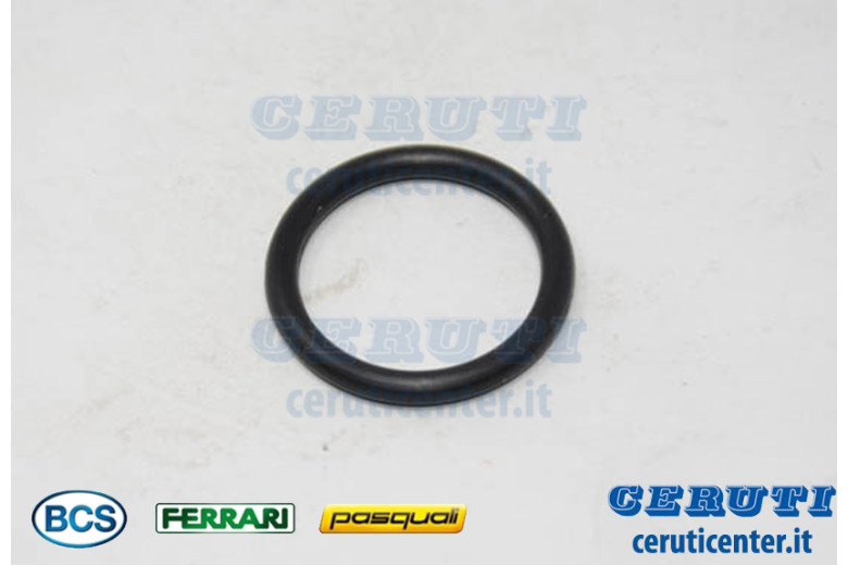 Anillo Or 109 (9,13X2,62) - BCS Original -  38110913 - reemplaza - F0803171000, P000000007844