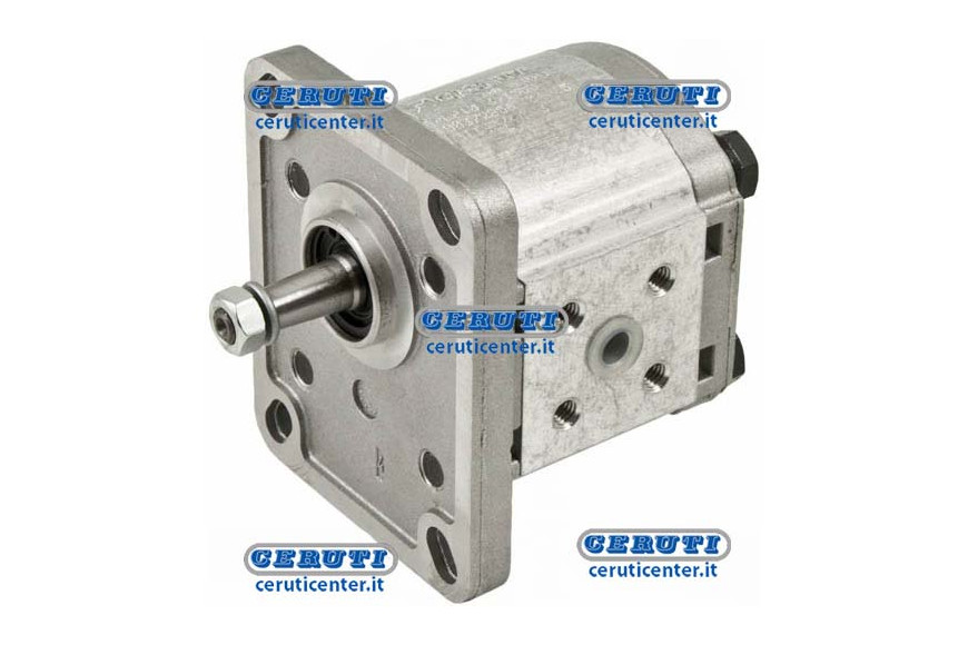 Casappa Pumps - Plp10 Gr. 1