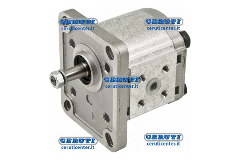Casappa Pumps - Plp10 Gr. 1