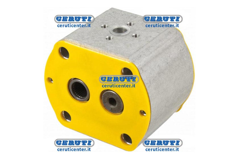 Casappa Pumps - Gr. 2 - Intermediate Section