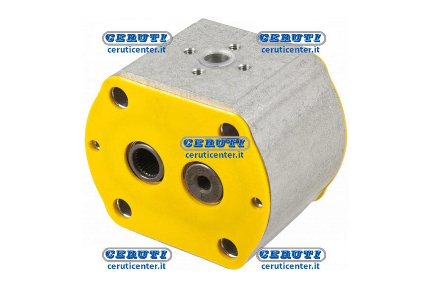 Casappa Pumps - Gr. 2 - Intermediate Section