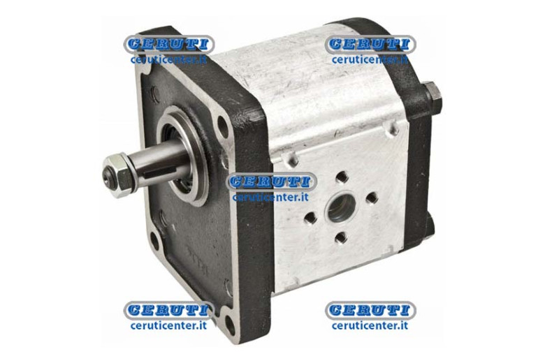 Plp30 Casappa Pumps With Cover In Cast Iron Gr. 3