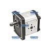 Pompes Casappa Plp30 Avec Couvercle En Fonte Groupe 3