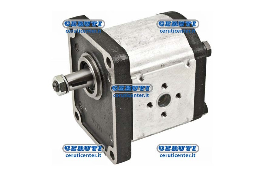 Plp30 Casappa Pumps With Cover In Cast Iron Gr. 3