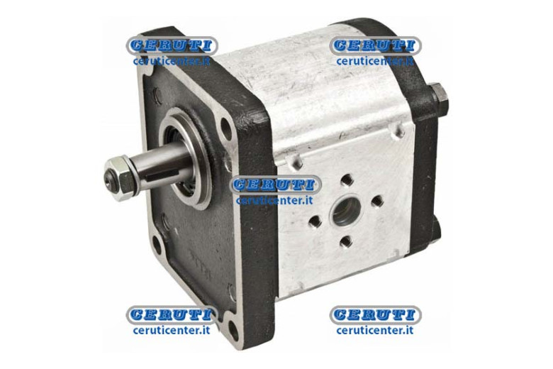 Plp30 Casappa Pumps With Cover In Cast Iron Gr. 3.5