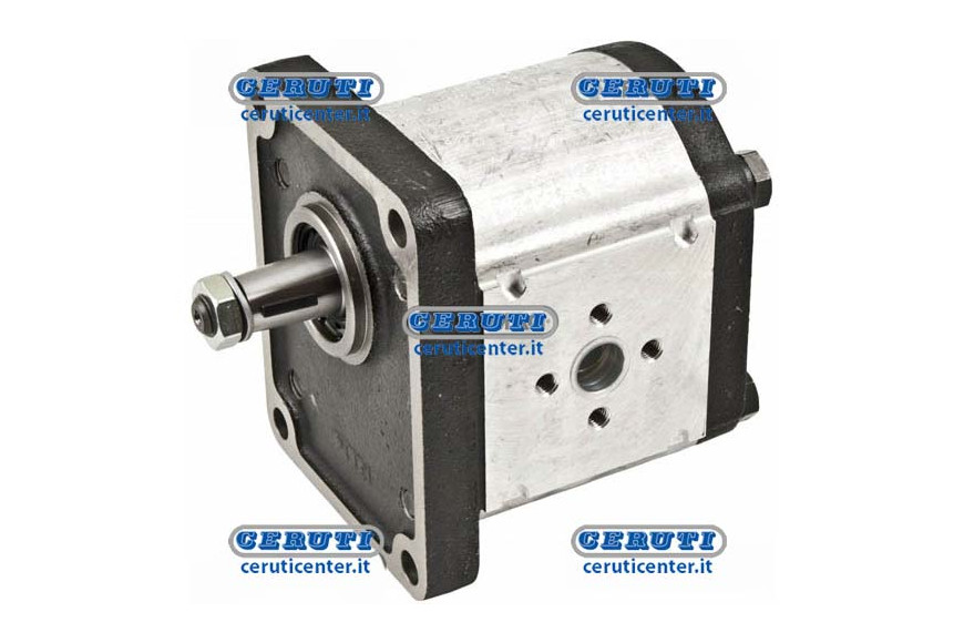 Plp30 Casappa Pumps With Cover In Cast Iron Gr. 3.5
