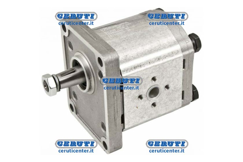 Casappa Engines - Plm20 Gr. 2 Standard Reversible With External Drainage Group 2 Swept Volume 6,3 Cm³