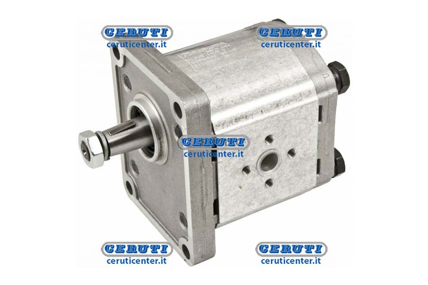 Casappa Engines - Plm20 Gr. 2 Standard Reversible With External Drainage Group 2 Swept Volume 20 Cm³