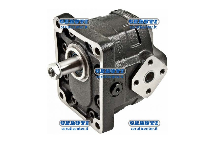 Casappa Engines - Km20 Gr. 3 For Choppers/Brushcutters Reversible With External Drainage Group 3 Swept Volume 34 Cm³