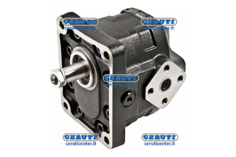 Casappa Engines - Km20 Gr. 3 For Choppers/Brushcutters Reversible With External Drainage Group 3 Swept Volume 34 Cm³
