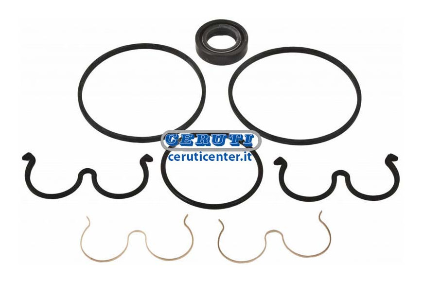 Kit Joints Pour Pompes Plp10