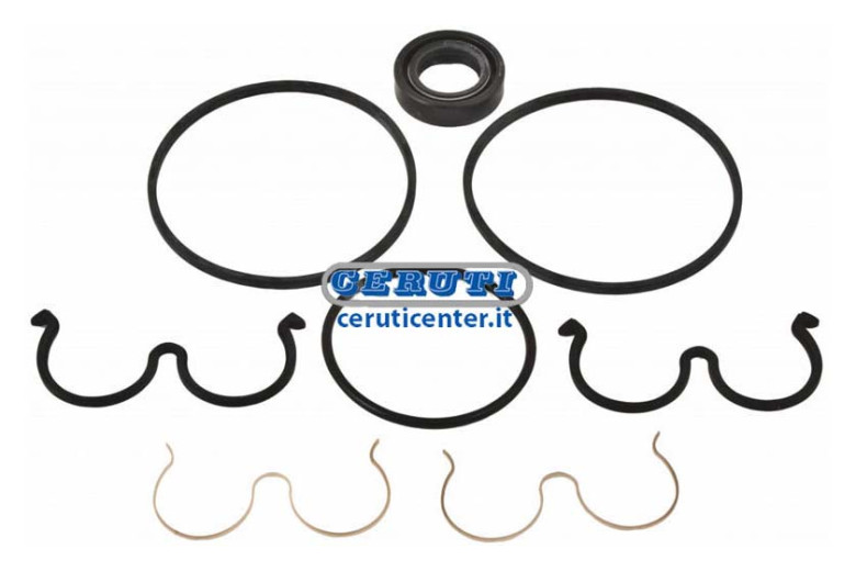 Gasket Kit For Plp10 Pumps