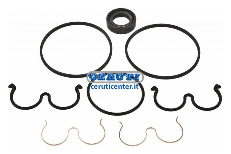 Gasket Kit For Plp20 Pumps
